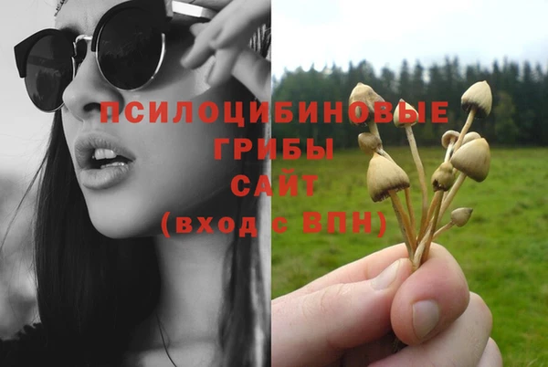 ешки Абинск