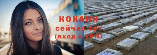 винт Абаза