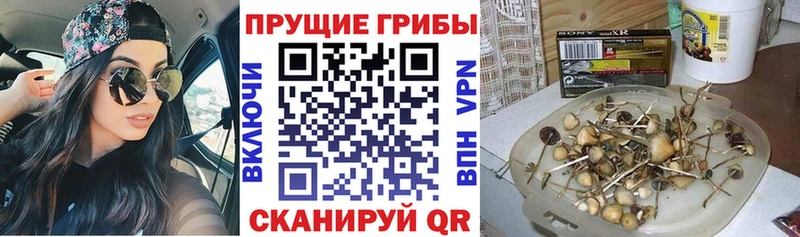Галлюциногенные грибы MAGIC MUSHROOMS  mega вход  Яровое 